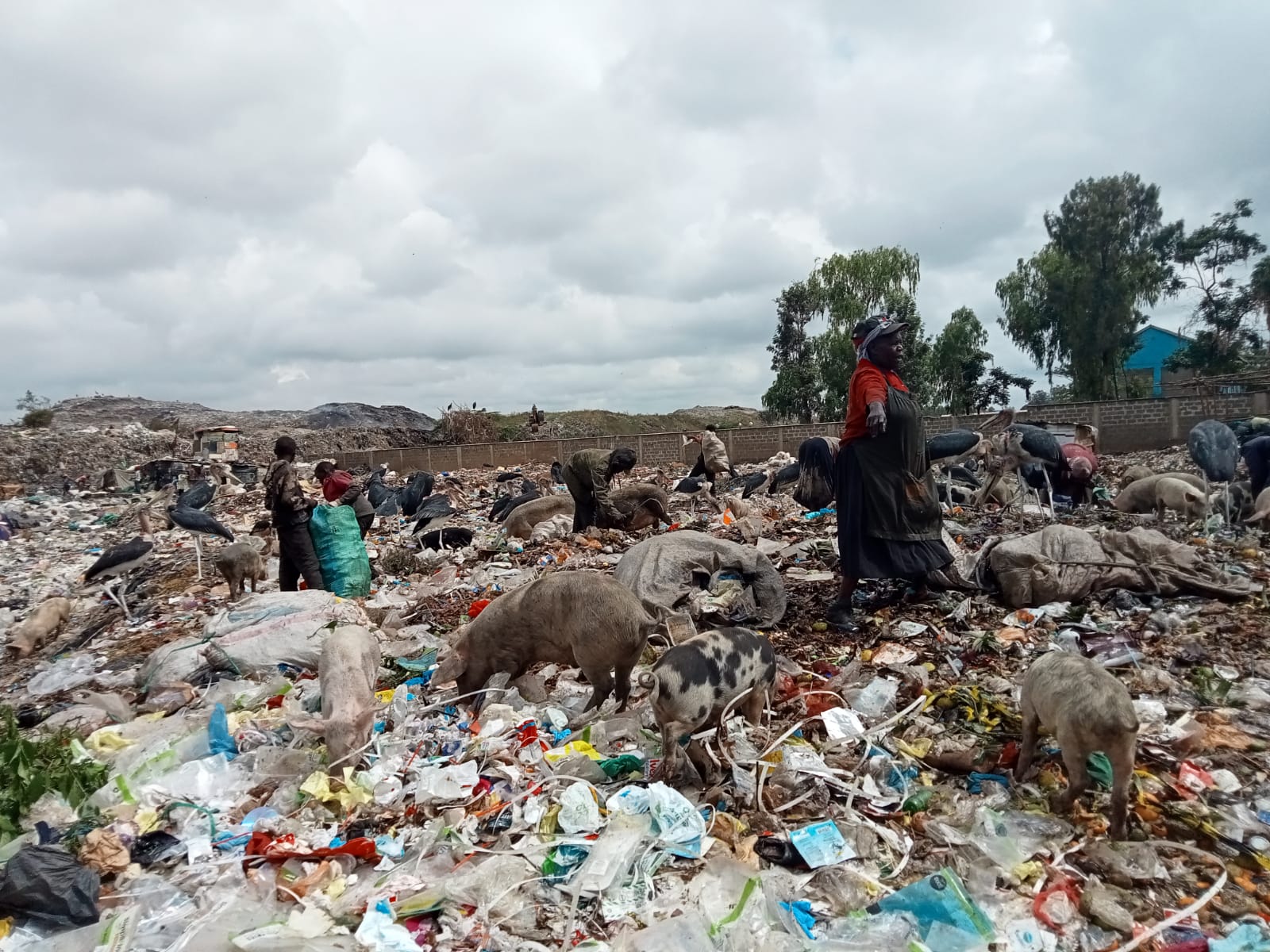 Dandora Dumpsite